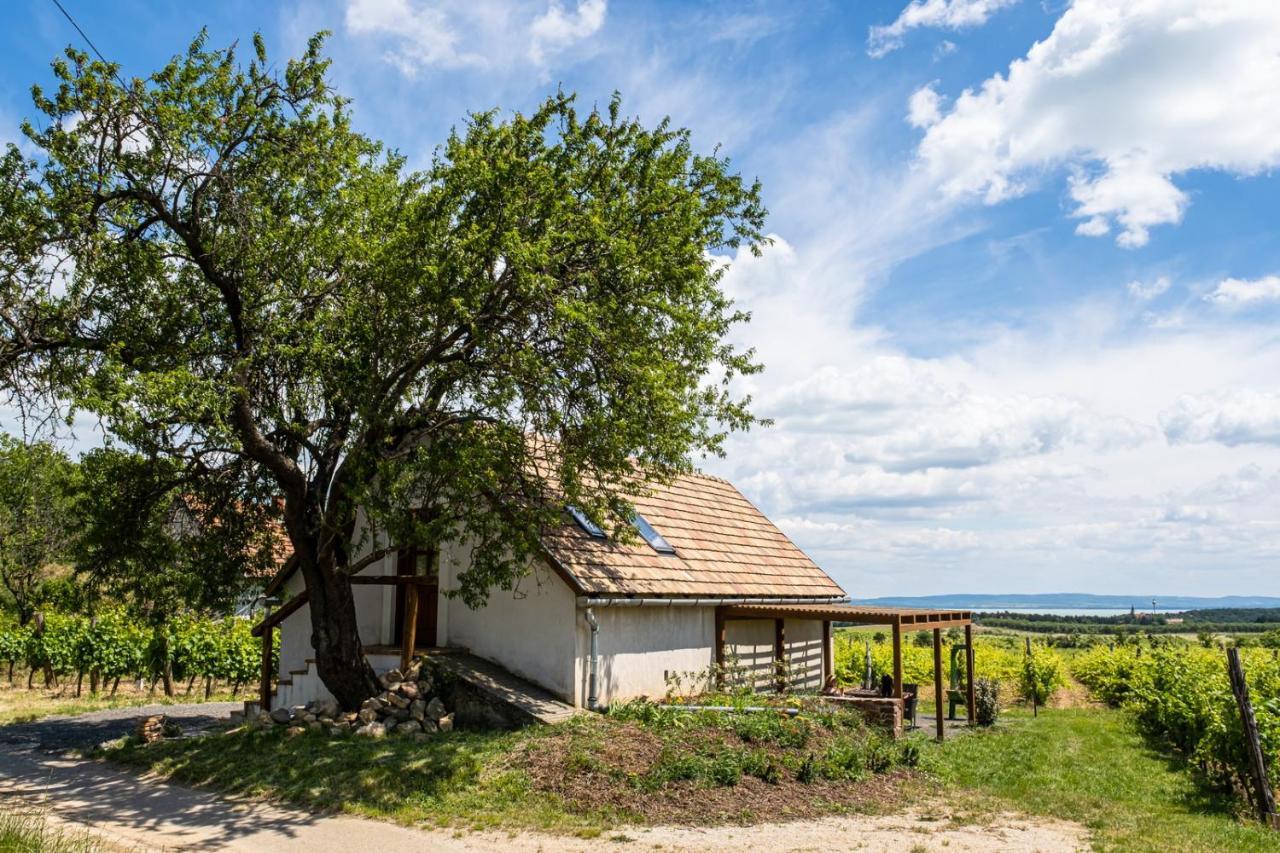 Tagyon Birtok Mandula Apartmanhaz Экстерьер фото