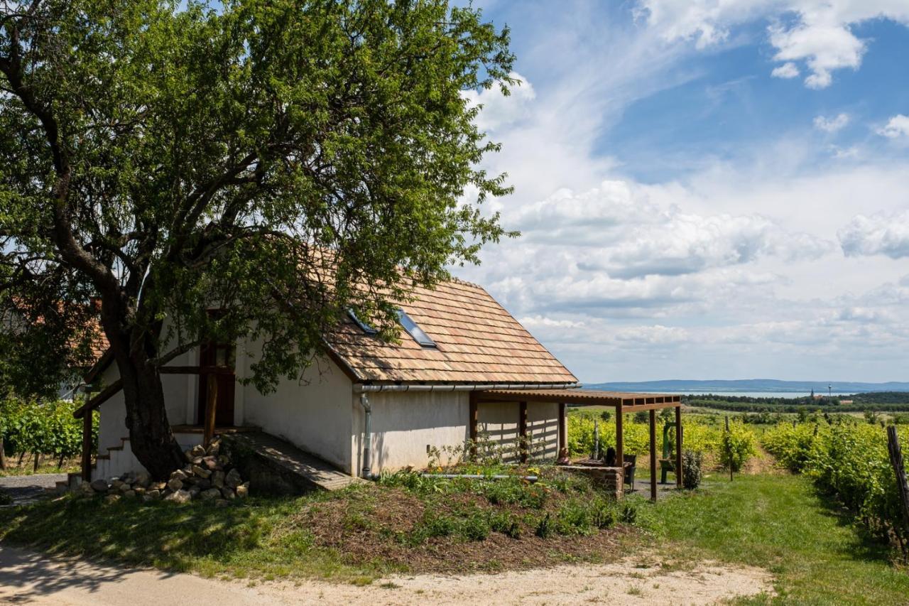 Tagyon Birtok Mandula Apartmanhaz Экстерьер фото